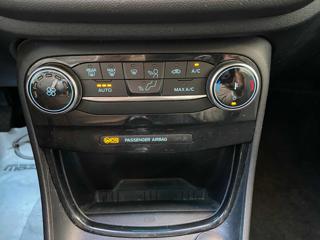 FORD Puma usata, con Cronologia tagliandi