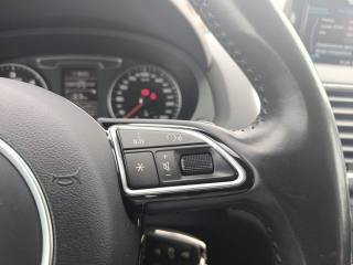 AUDI Q3 usata, con Fari Xenon