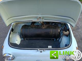 FIAT 500L usata 19
