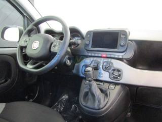 FIAT Panda usata, con Antifurto