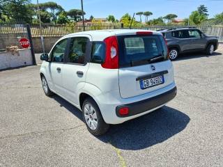 FIAT Panda usata 3