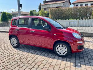 FIAT Panda usata, con Airbag Passeggero
