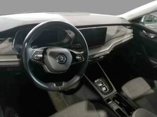 SKODA Octavia usata, con Autoradio