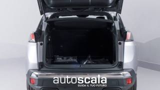PEUGEOT 3008 usata, con Climatizzatore