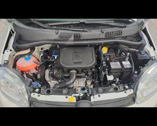 FIAT Panda usata 23