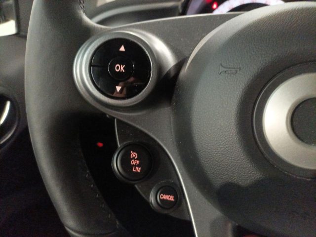 SMART ForTwo usata, con Sedili riscaldati
