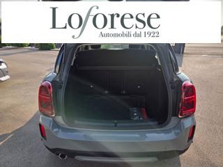 MINI Countryman usata, con Cruise Control