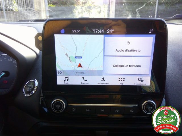 FORD EcoSport usata, con Bracciolo