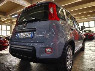 FIAT Panda usata, con Airbag Passeggero