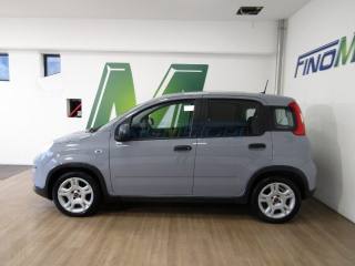 FIAT Panda usata, con Antifurto
