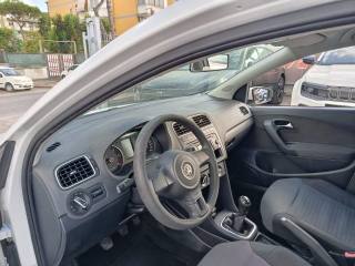 VOLKSWAGEN Polo usata, con Cronologia tagliandi