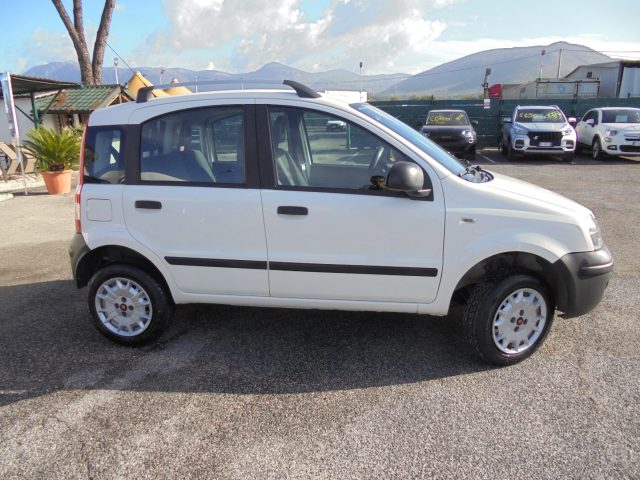 FIAT Panda usata 13