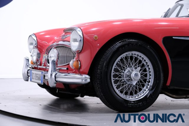 AUSTIN Healey usata 11