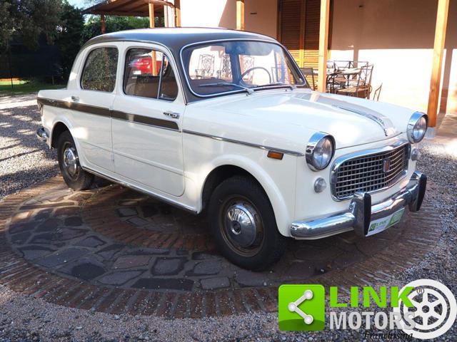 FIAT 1100 usata 2