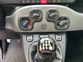 FIAT Panda usata, con Cronologia tagliandi