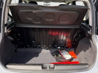 FIAT Panda usata 13