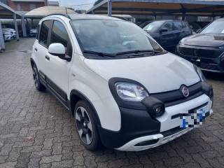 FIAT Panda usata, con Antifurto