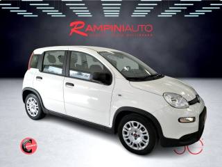FIAT Panda usata 4
