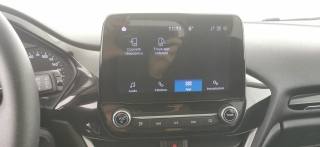 FORD Fiesta usata 62