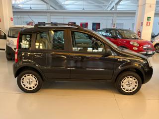 FIAT Panda usata, con Airbag Passeggero