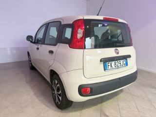 FIAT Panda usata 10