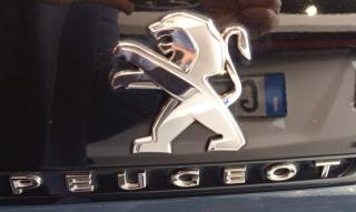 PEUGEOT 3008 usata, con Climatizzatore
