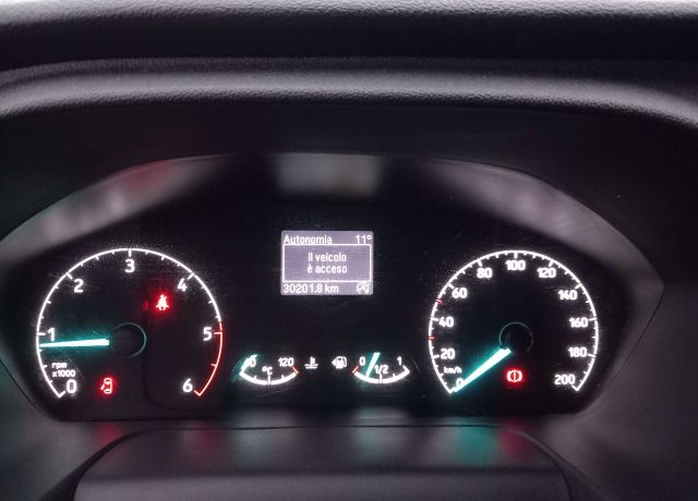 FORD Transit Custom usata 7