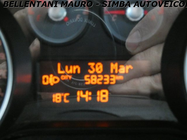 FIAT Punto usata 13