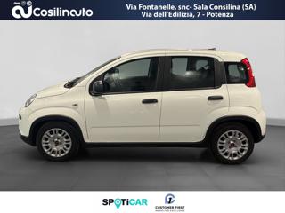 FIAT Panda usata, con Airbag
