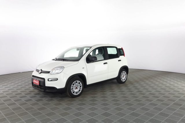 FIAT Panda usata 6