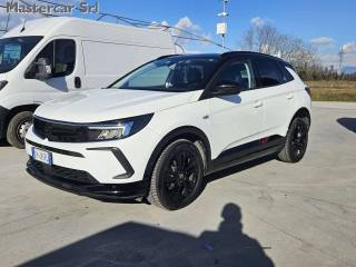 OPEL Grandland X usata, con Park Distance Control