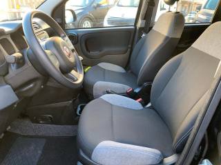 FIAT Panda usata 15