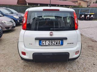 FIAT Panda usata 22