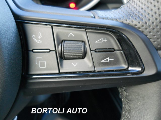 ALFA ROMEO Stelvio usata, con Bracciolo