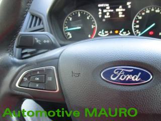 FORD EcoSport usata, con Bracciolo