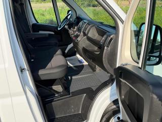 FIAT Ducato usata 16