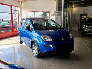 FIAT Panda usata, con Chiusura centralizzata