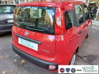 FIAT Panda usata, con Climatizzatore