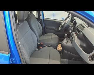 FIAT New Panda usata 20