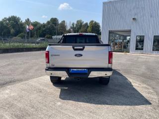 FORD F 150 usata 5