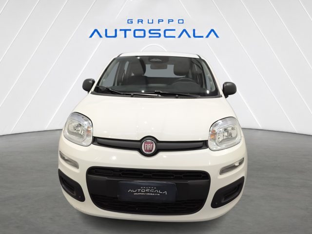 FIAT New Panda usata, con Airbag