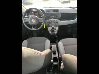 FIAT Panda usata, con Airbag testa