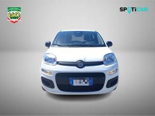FIAT Pandina usata, con Airbag