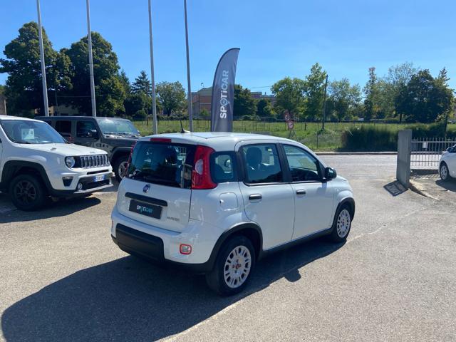 FIAT Panda usata 20