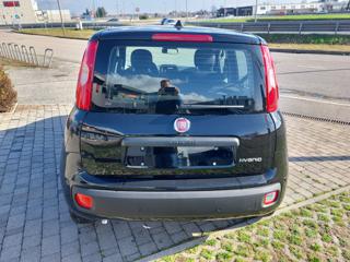 FIAT Panda usata, con Climatizzatore