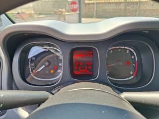 FIAT Panda usata 14
