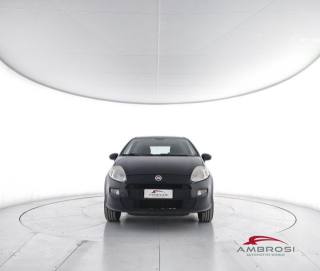 FIAT Punto usata 4