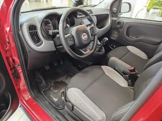 FIAT Panda usata, con Climatizzatore