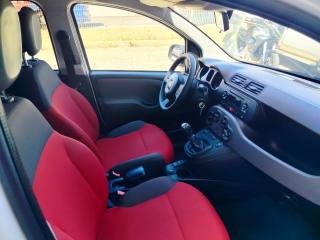 FIAT Panda usata 10