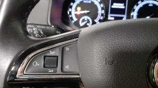 SKODA Karoq usata, con Sensore di pioggia